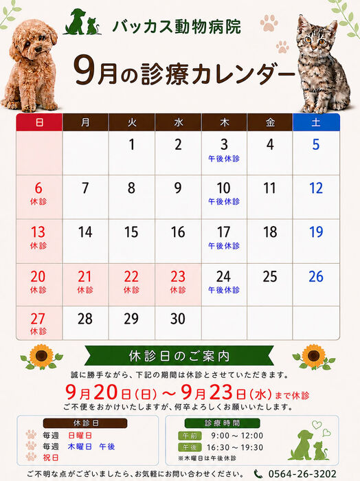 ブログ画像